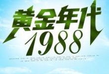 钟援朝钟局为主角的小说好看吗？免费读黄金年代1988-芥末文学