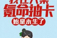 完结版《我在大秦氪命抽卡，始皇永生了》章节阅读-芥末文学