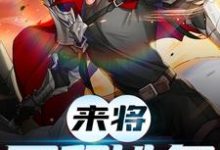 陆沉是哪本书的主角？寻找来将可留姓名免费阅读-芥末文学