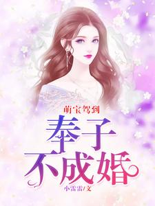 萌宝驾到：奉子不成婚免费阅读，萌宝驾到：奉子不成婚章节在线阅读