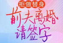 完结版《拒做替身：前夫离婚请签字》免费阅读-芥末文学