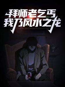 主人公陈启林苏荷小说拜师老乞丐：我乃风水之龙在线章节阅读