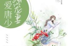 小说《霸爱唐少独宠妻》章节阅读-芥末文学