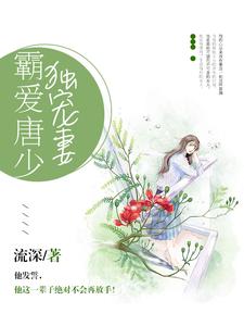 小说《霸爱唐少独宠妻》章节阅读