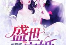 在线寻找盛世宠婚小说的无删减版本-芥末文学