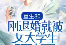 完结版《重生80：刚退婚就被女大学生盯上了》免费阅读-芥末文学