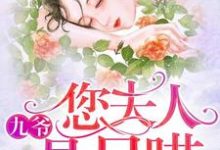 九爷，您夫人是只喵章节免费在线阅读，郁婉霍九卿完结版-芥末文学