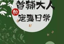 小说《首辅大人的宠妻日常》章节免费阅读-芥末文学