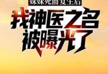 小说《妹妹死而复生后，我神医之名被曝光了》章节免费阅读-芥末文学