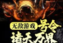 无敌游戏：号令诸天万界当魔君小说，无敌游戏：号令诸天万界当魔君免费阅读-芥末文学