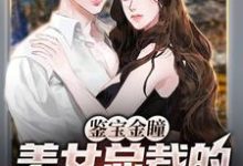 高阳温婉婷小说《鉴宝金瞳：美女总裁的贴身鉴宝师》在线阅读-芥末文学