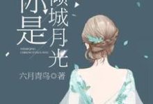 完结版《你是倾城月光》章节阅读-芥末文学