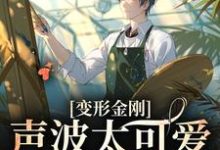 完结版《变形金刚：声波太可爱了怎么办》章节目录在线阅读-芥末文学