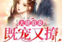 完结版《大佬追妻：既宠又撩还护短》章节阅读-芥末文学