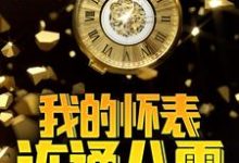 已完结小说《我的怀表连通八零》章节在线阅读-芥末文学