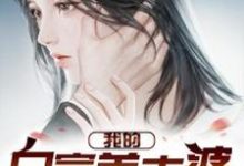 完结版《我的白富美老婆》免费阅读-芥末文学