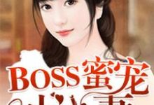 BOSS蜜宠小小妻小说最新章节在哪里可以读到？-芥末文学