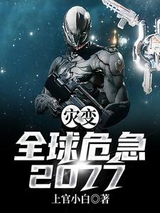 《灾变：全球危急2077》小说主角东方鹰章节章节免费在线阅读