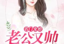 完结版《名门宠婚：老公又帅又给力》在线免费阅读-芥末文学