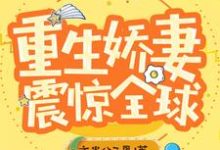 重生娇妻震惊全球这本小说怎么样？免费在线阅读试试-芥末文学