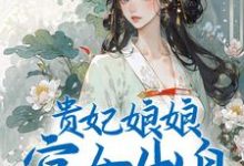 《贵妃娘娘宫女出身，皇上偏宠着》全集免费在线阅读（沈清禾萧祈）-芥末文学