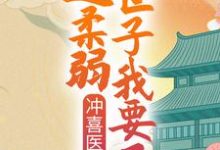 已完结小说《冲喜医妃：这柔弱世子我要了！》章节在线阅读-芥末文学