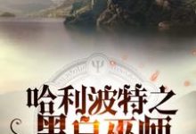 哈利波特之黑白巫师罗斯·邓曼莱昂·迈斯，哈利波特之黑白巫师小说免费阅读-芥末文学