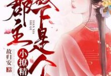 完结版《重生追夫：郡主殿下是个小撩精》章节阅读-芥末文学