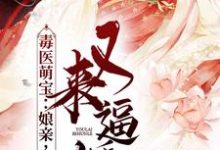 小说《毒医萌宝：娘亲，父皇又来逼婚了》章节免费阅读-芥末文学