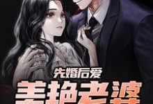 《先婚后爱：美艳老婆太撩人》小说章节列表免费试读，苏子文沈念一小说在线阅读-芥末文学