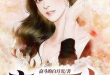 完结版《高手下山：美女，请自重》免费阅读-芥末文学