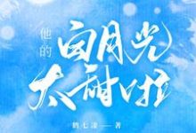 完结版《他的白月光太甜啦》在线免费阅读-芥末文学