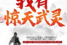 完结版《我有惊天武灵》章节阅读-芥末文学