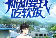 完结版《我医术无双，你却要我吃软饭？》在线免费阅读-芥末文学