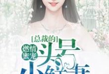 已完结小说《燃情蜜宠：总裁的头号小鲜妻》章节免费阅读-芥末文学