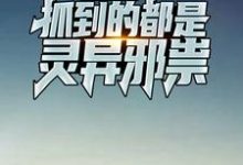 完结版《我积极报案，抓到的都是灵异邪祟》章节目录在线阅读-芥末文学