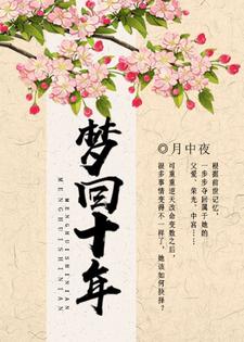 小说《梦回十年》章节免费阅读