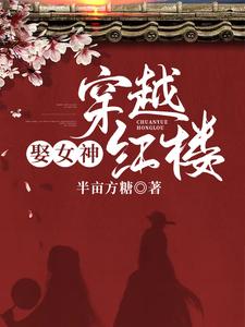 小说《穿越红楼娶女神》在线章节阅读