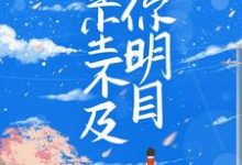 完结版《星尘不及你明目》章节阅读-芥末文学