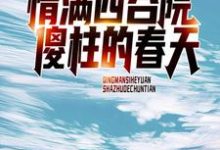 完结版《情满四合院：傻柱的春天》在线免费阅读-芥末文学