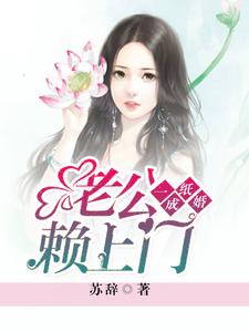 一纸成婚，老公赖上门