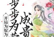 陈皎霍翱小说《开局为奴为婢，步步为营成贵妃》在线阅读-芥末文学