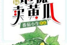 完结版《开局地摊卖黄瓜》章节阅读-芥末文学