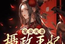 完结版《宠妾灭妻？摄政王妃她不干了》章节阅读-芥末文学