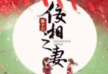 完结版《佞相之妻》章节阅读-芥末文学