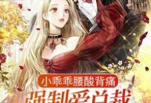 完结版《小乖乖腰酸背痛，强制爱总裁是疯批》章节目录在线阅读-芥末文学