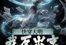 快穿大明：我反出京师对抗皇帝苏白朱元璋，快穿大明：我反出京师对抗皇帝最新章节-芥末文学