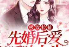 《极致拉扯：先婚后爱暧昧上头》全集免费在线阅读（温旎简予琛）-芥末文学