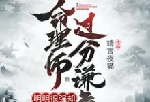 完结版《这个命理师明明很强却过分谦虚》章节阅读-芥末文学