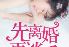 完结版《先离婚，再谈爱》章节目录在线阅读-芥末文学